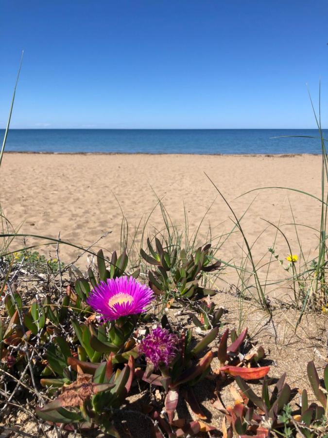 Denia Beach Exterior foto